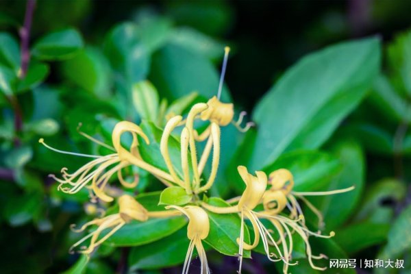 贵丰配资 一个女人没脑子的7大表现